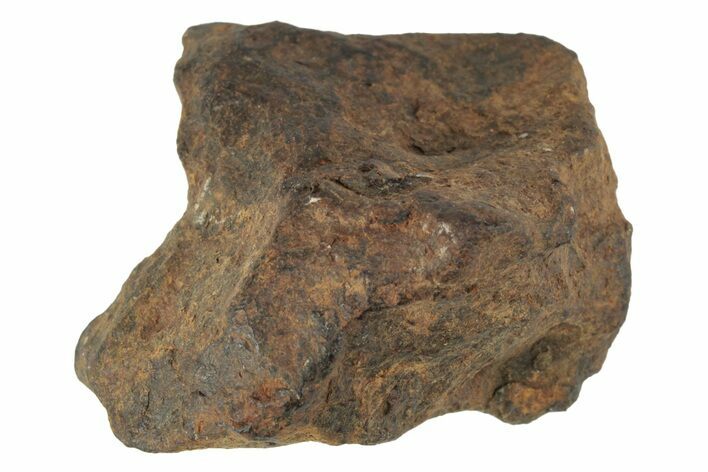 Agoudal Iron Meteorite ( g) - Morocco #245591